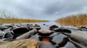 Осень, она не спросит