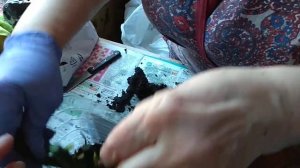 Сажаем чайно-гибридную розу Циркус в пластиковый контейнер