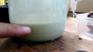 Квас на пшеничной муке