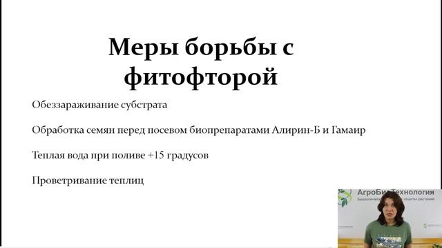 Фитофтороз. Как бороться.