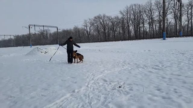 Баларис Керчь( Мичиган Примо Гранде и Баларис Мицубиси) 14 мес(3) смотреть онлайн