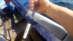 Удачная рыбалка на СЕВЕРНОМ МОРЕ