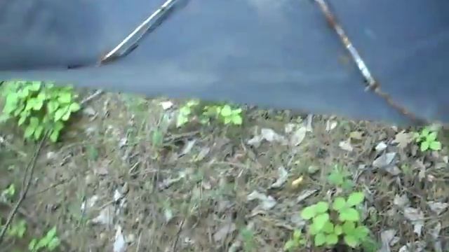 Неизвестный птенец на дороге. смотреть онлайн