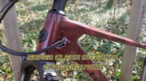 CARBON ON A BUDGET / Is This my Dream XC Bike? / Polygon Syncline C3