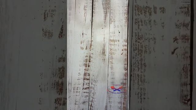 Куриные фрикадельки в апельсиновом соусе смотреть онлайн