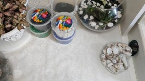 ЧТО НУЖНО ДЛЯ ФЛОРАРИУМА? Что нужно купить, чтобы делать красивые флорариумы? Нюансы для новичков