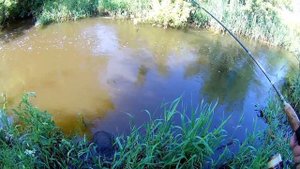 ГОЛАВЛЬ ДАЛ БОЙ. Первая встреча с ЛЫСЫМ. Рыбалка на реке Ингул. Попло-попер и воблер.