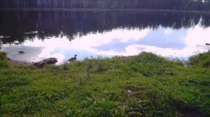 Коркинские озера.Шашлыки.Лето.кайф