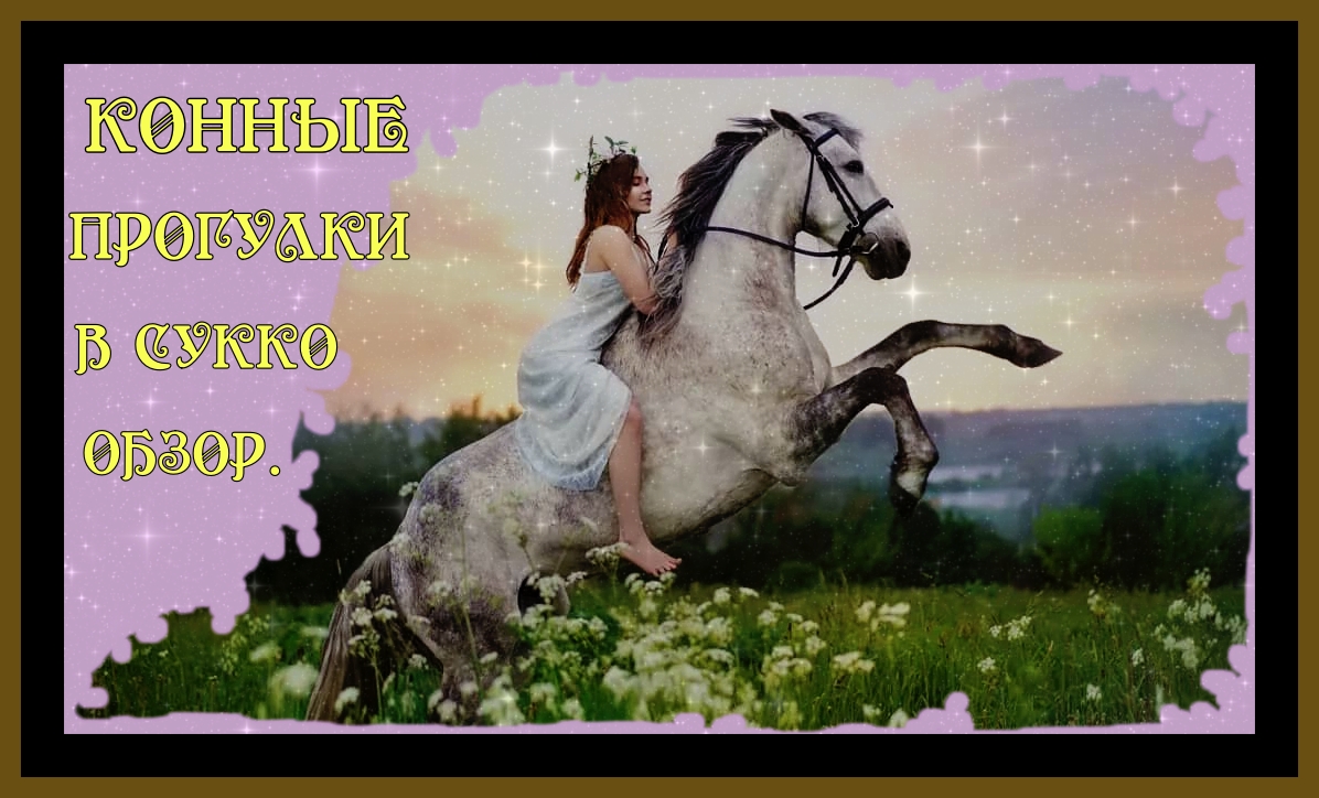 КОННАЯ ПРОГУЛКА В СУККО.ОБЗОР.HORSE RIDING IN SUKKO.REVIEW.#конная прогулка#сукко#лошади#анапа#