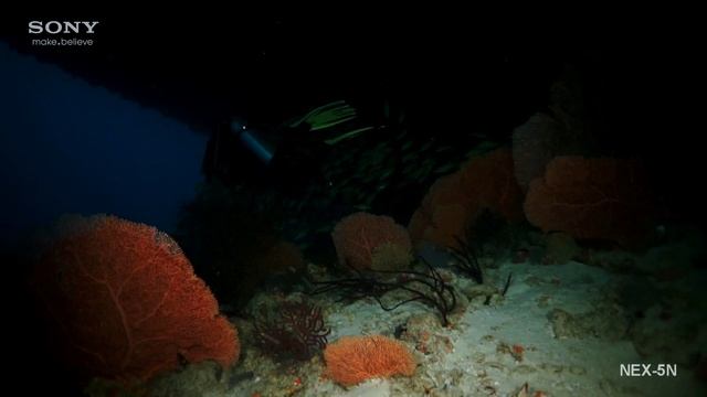 NEX 5N Maldives смотреть онлайн