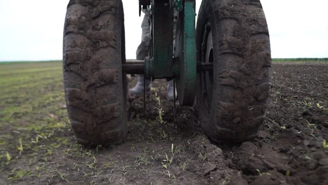 ПРОПОЛКА СОРГО САМОДЕЛЬНЫМ МОТОБЛОКОМ смотреть онлайн