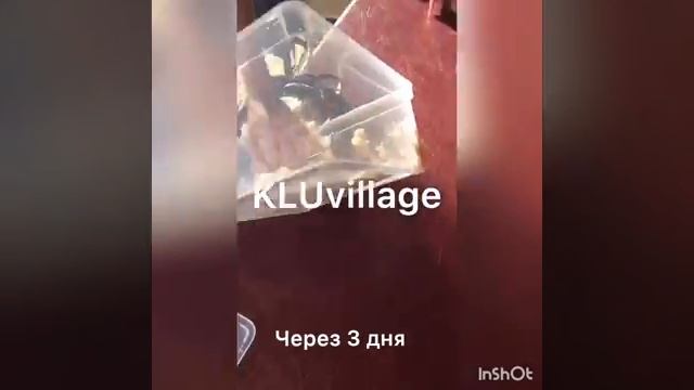 ХАМОН ИЗ БАРАНИНЫ (вяленое мясо) быстро и вкусно!!! смотреть онлайн