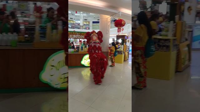 #chinesenewyear #dragondance #chineselife