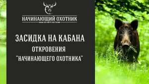 ЗАСИДКА НА КАБАНА НА ОВСАХ / ОТКРОВЕНИЯ НАЧИНАЮЩЕГО ОХОТНИКА