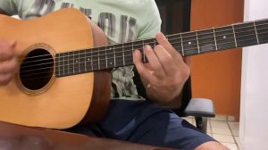 Learn Can’t Stop from RHCP Accoustic Guitar