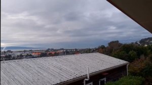 В порт Нельсона заходит сухогруз.  Скоро расцветёт магнолия.  В трал попал желтоперый тунец.