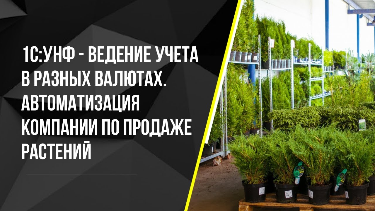 1С:УНФ Ведение учета в разных валютах. Автоматизация компании по продаже растений
