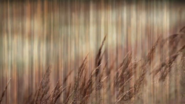 КАК СОЗДАТЬ ВОЛНУ УДАЧИ В СВОЕЙ ЖИЗНИ смотреть онлайн