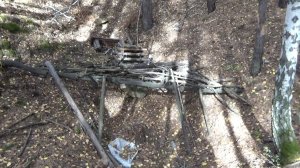 Челябинская золотая осень .Прогулка в  Каштакском бору. Третья часть.