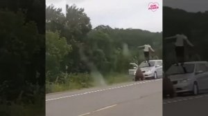Он кормил медведя без уважения!