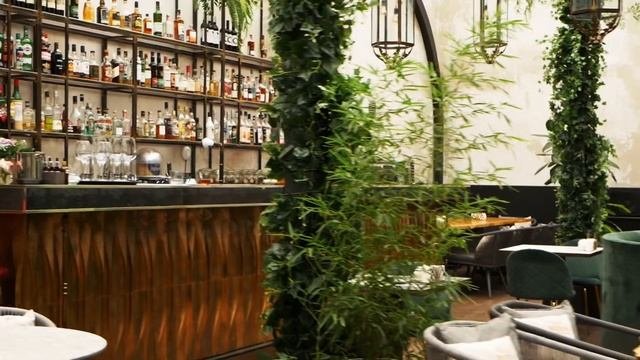 Рекламный ролик ресторана