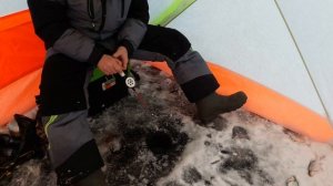 БЕЗМОТЫЛКА. Открытие сезона.