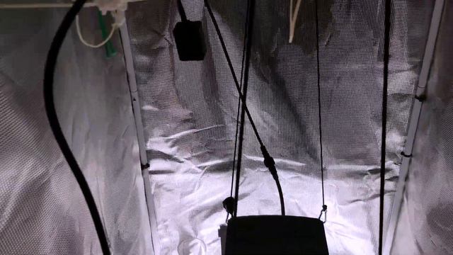 Pandvillow Mate 2000 Gear Review 200 watt LED Grow light #Pandvillow #LEDGROWLIGHT #MATE2000 🔨