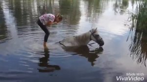 VLOG: Купание с лошадью|Венера хотела сбежать?!|