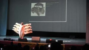 Мой сосед - Тоторо; Котобус - Legend [Animatrix 2012] 1080p