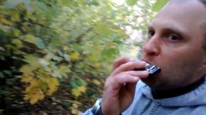 Губная гармошка.Мелодия марш святых.Табы