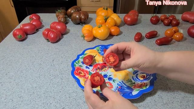 ТОМАТ НИАГАРА. ОБЗОР И ДЕГУСТАЦИЯ ТОМАТА. смотреть онлайн