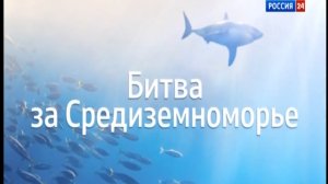 Битва за Средиземноморье «Геоэкономика» 