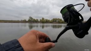 Весна 2023 рыбалка на флэт-фидер, поклёвки сазана и карпа, улов рыбы и хороший клёв