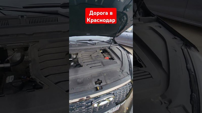 чери тигго 7 про макс дорога в Краснодар проблемы #fv32 #7pro