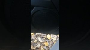 Seat leon mk2 (1p1)снятие и установка зеркала заднего вида