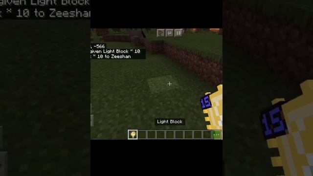 How To Make Invisible Light Source In MINECRAFT PE