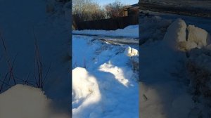 Грейдер. Как расчищают и расширяют дороги в Дроздово.