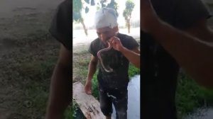 Как съедает живого змея . 20.06.2018