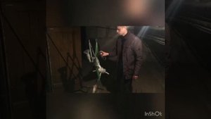 Покрасили велосипед из баллончика