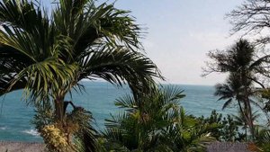 Coral Cliff Hotel, Koh Samui, wild oasis ❤
