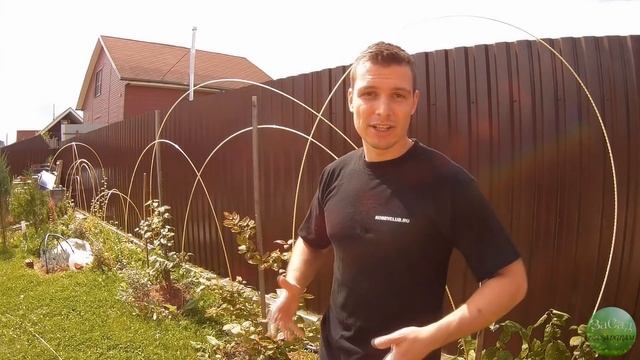 Дачный лайфхак: шпалеры и опоры для растений своими руками