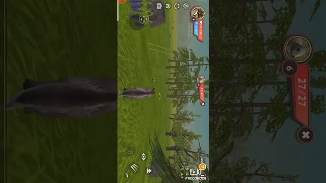 Симулятор волка . Как живут настоящие волки узнаешь в этом видео смотреть онлайн