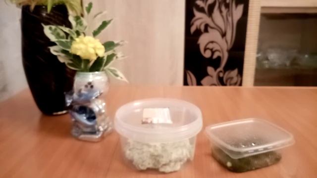 Масло сливочное с зеленью смотреть онлайн