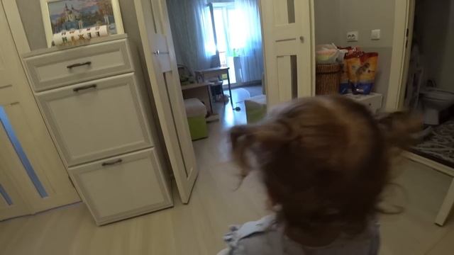 Папа 24 часа делает всё,что скажет Ника!Поездка в игровую,заказала 3 пиццы и выбрала новую куклу! смотреть онлайн