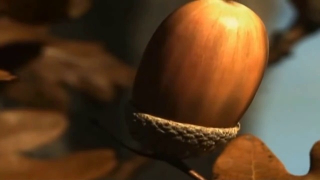 Осенний лес - Инструментальная музыка Вадим Манцева (NikaDim)