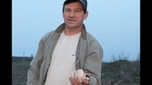 Сбор грибов (синеножка и лесные грибы)