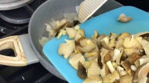 Гигрофоры. Приготовление гигрофоров. Обработка гигрофоров.