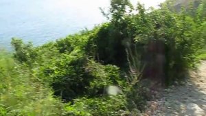 Спуск к пляжу на мысе Фиолент. 180 ступенек.