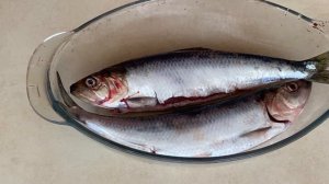 ДУНАЙСКАЯ СЕЛЁДОЧКА?, СОЛИМ И ВКУСНО КУШАЕМ/#селедка,#дунайка,#малосольнаядунайка,#всеполучится,