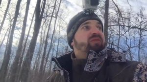 Загонная охота зимой на дикого кабана с собаками